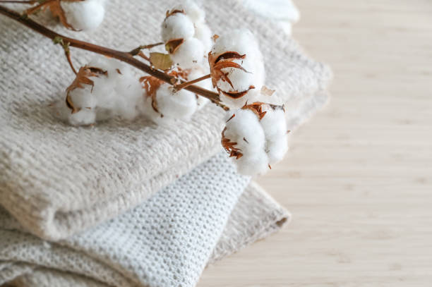 Organic cotton blankets