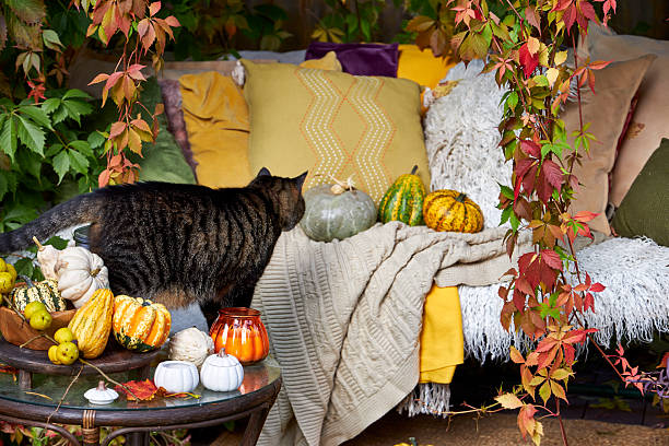 Custom textile creation