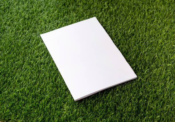 Outdoor living space